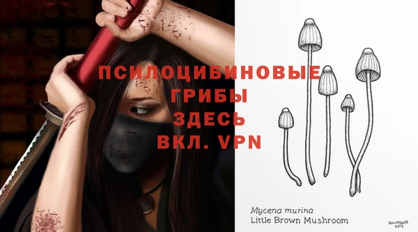 мескалин Медногорск