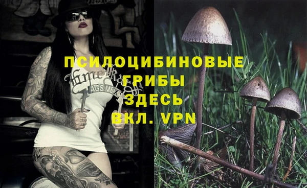 mdpv Лиски