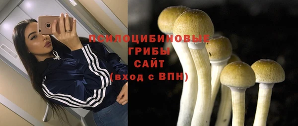 Альфа ПВП Заречный