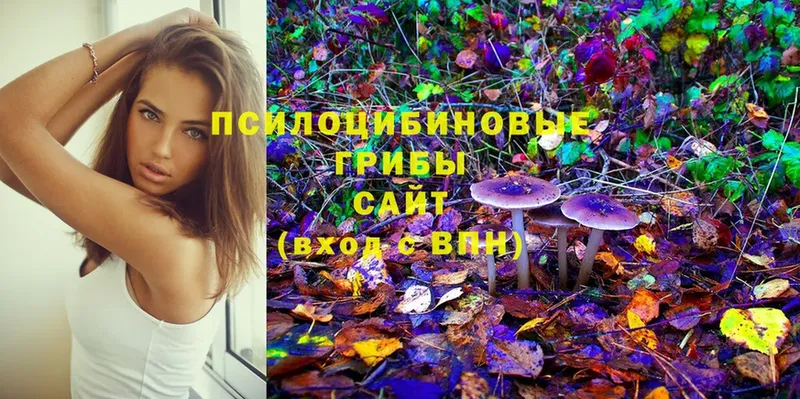 OMG зеркало  Малая Вишера  Галлюциногенные грибы Magic Shrooms 