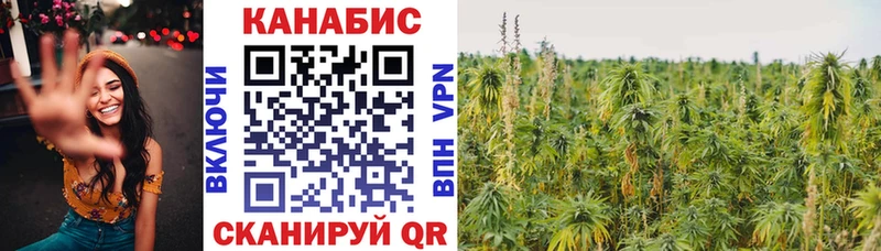 Канабис White Widow  гидра сайт  Малая Вишера 